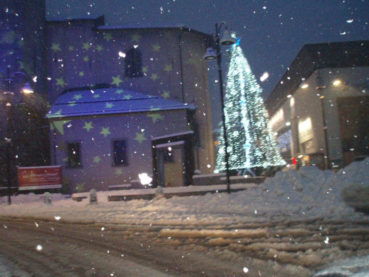 Casa Salvaterra Affittacamere Pinzolo Dış mekan fotoğraf